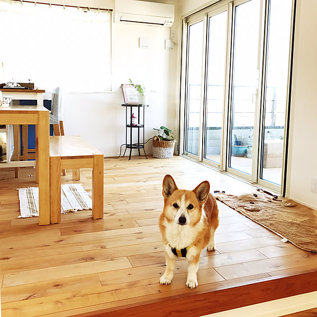 kanattinoさんの実例写真