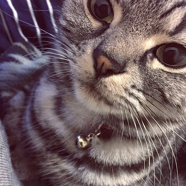 hiyupan88さんの実例写真