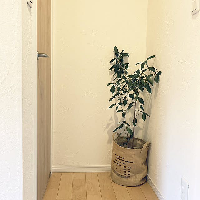 観葉植物/ナチュラル/北欧/モノトーン/バス/トイレのインテリア実例 - 2022-02-08 15:35:22