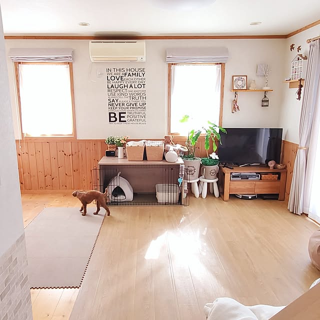 satosanさんの実例写真