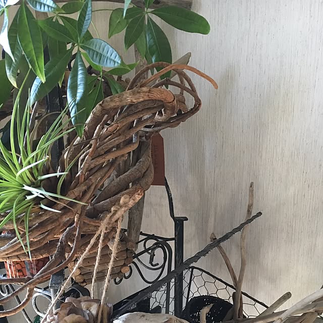 MICさんの実例写真