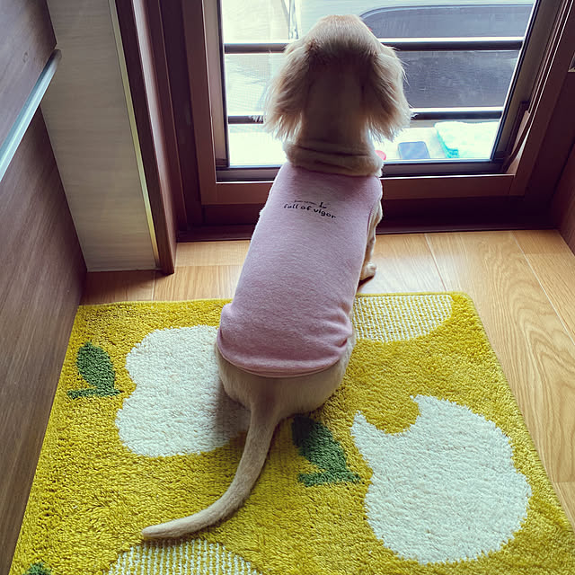 ponponcooさんの実例写真