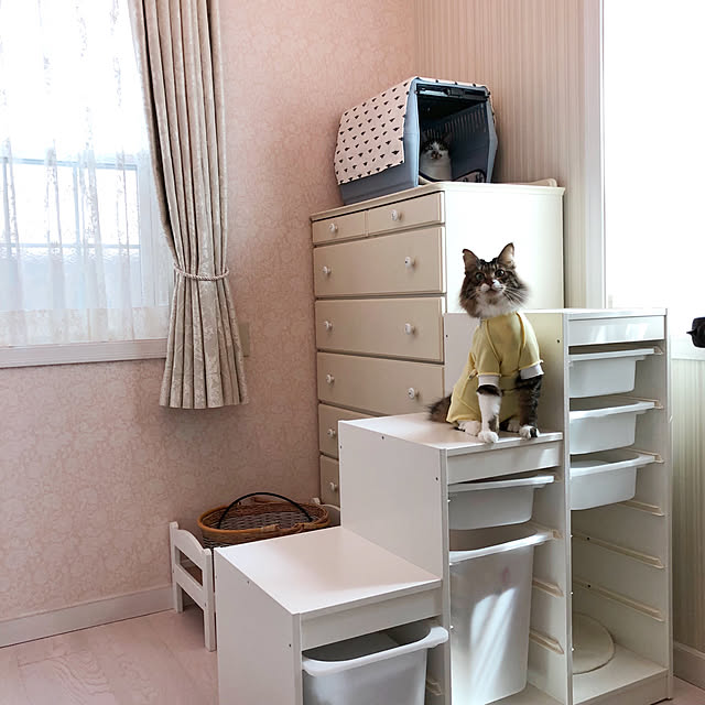 yuchiさんの実例写真