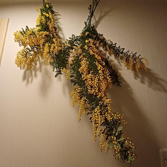 riisaさんの実例写真