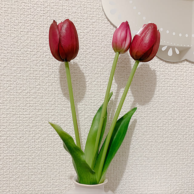 mopuさんの実例写真