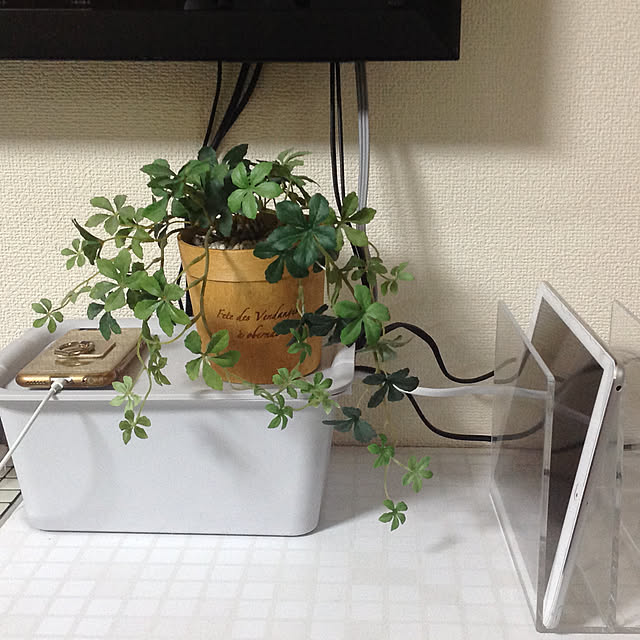ransakumamaさんの実例写真
