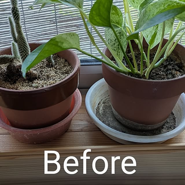 6+onehouseさんの実例写真