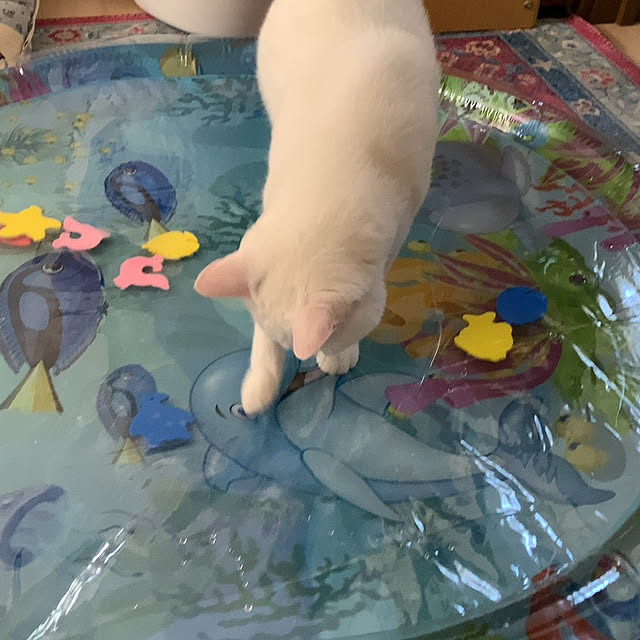 moyuhiさんの部屋