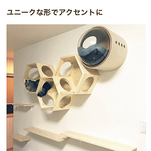 yuki0511さんの実例写真