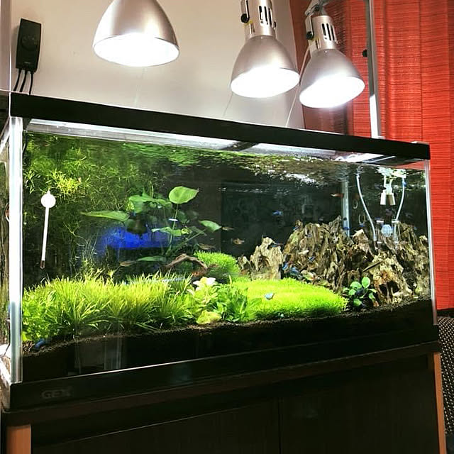 o.kanさんの実例写真