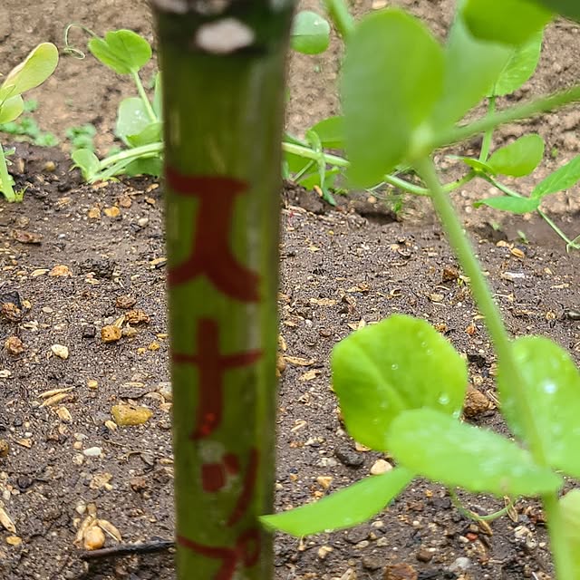 Rubiconさんの部屋