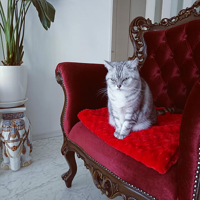 vol.1658写真