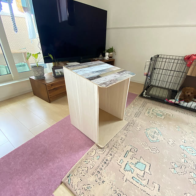 うちのペット/DIY/100均/ナチュラル/ハンドメイド...などのインテリア実例 - 2022-02-05 13:18:38