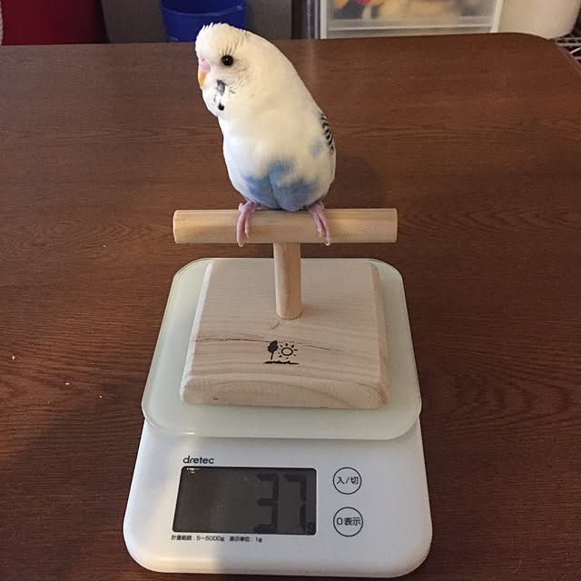 ryouyum126さんの実例写真