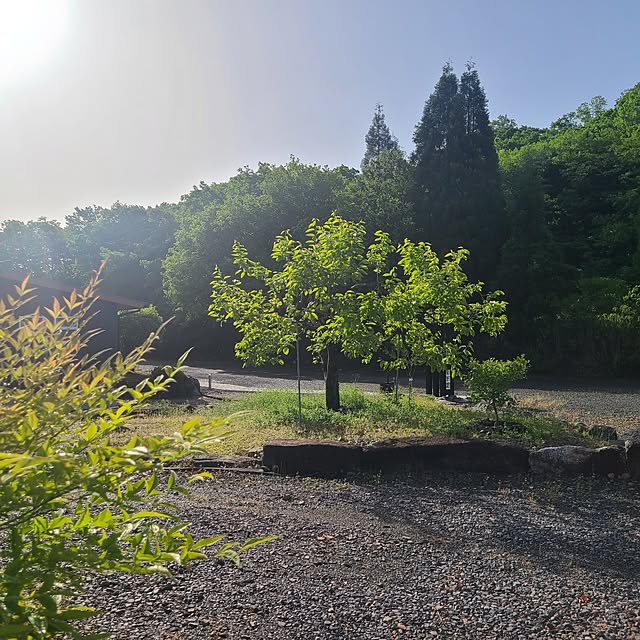 Rubiconさんの実例写真