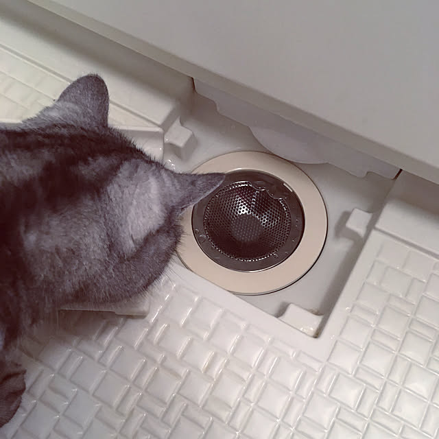 mikomaruさんの実例写真