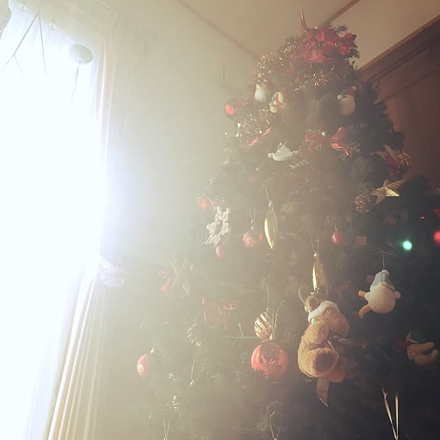 chiekkoさんの実例写真