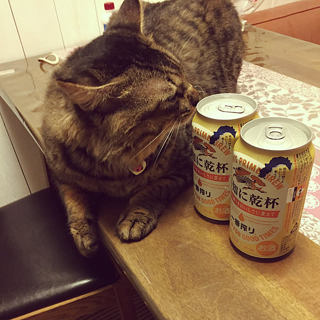 oniyomeさんの実例写真