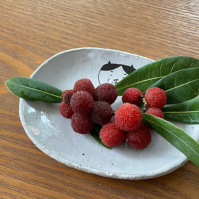 nobikoさんの部屋