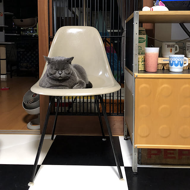 Shojiさんの実例写真