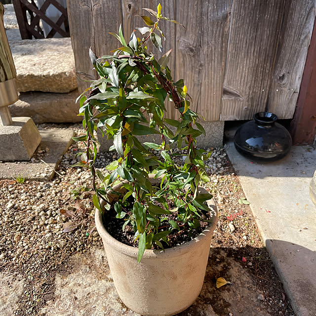 shin0719さんの部屋