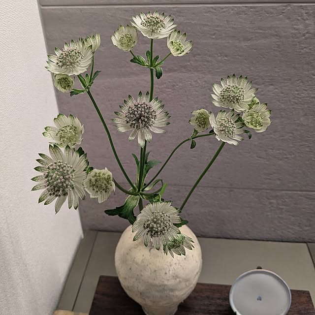 Ryoun youさんの実例写真