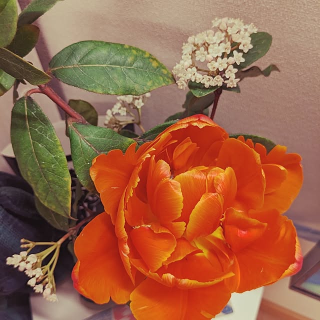 chiz3さんの部屋