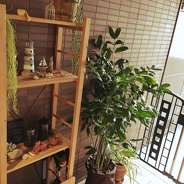 kan2さんの実例写真
