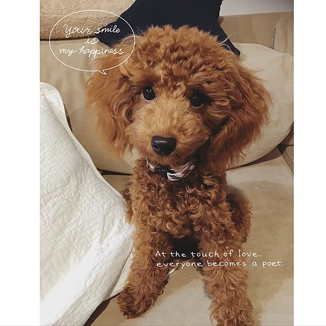 tomoさんの実例写真