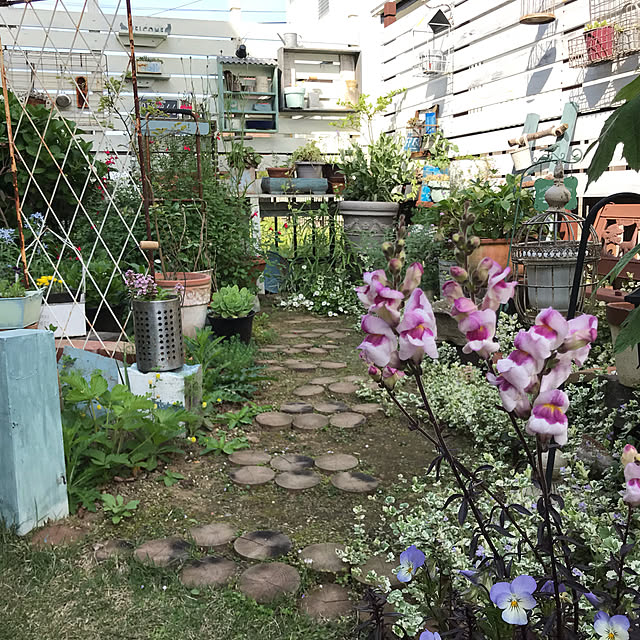 kokko3さんの実例写真