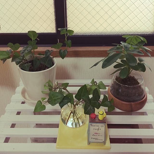 yu-kiさんの実例写真