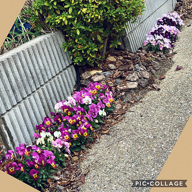 yukarin-gardenさんの実例写真