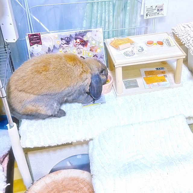 mariaさんの部屋