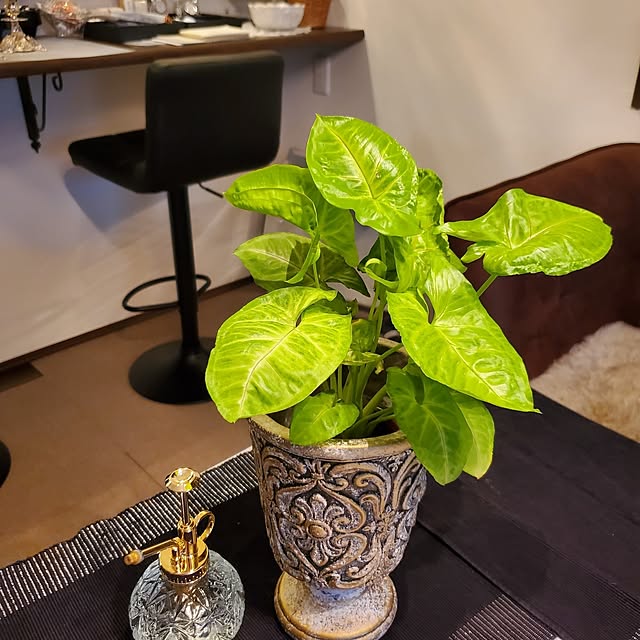 muku+maroさんの実例写真