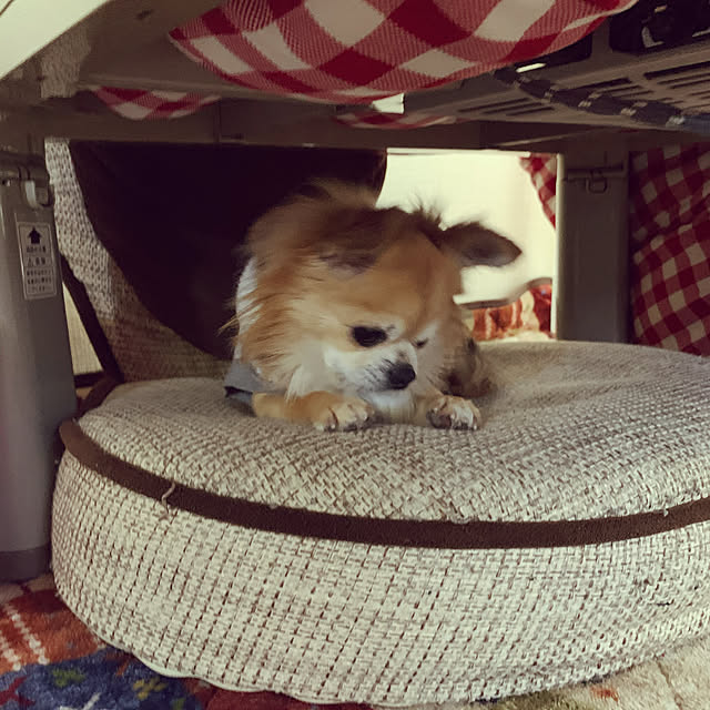 memeさんの実例写真