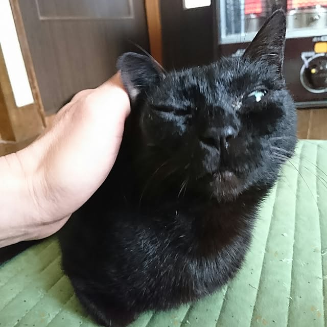 TOUEMONさんの実例写真