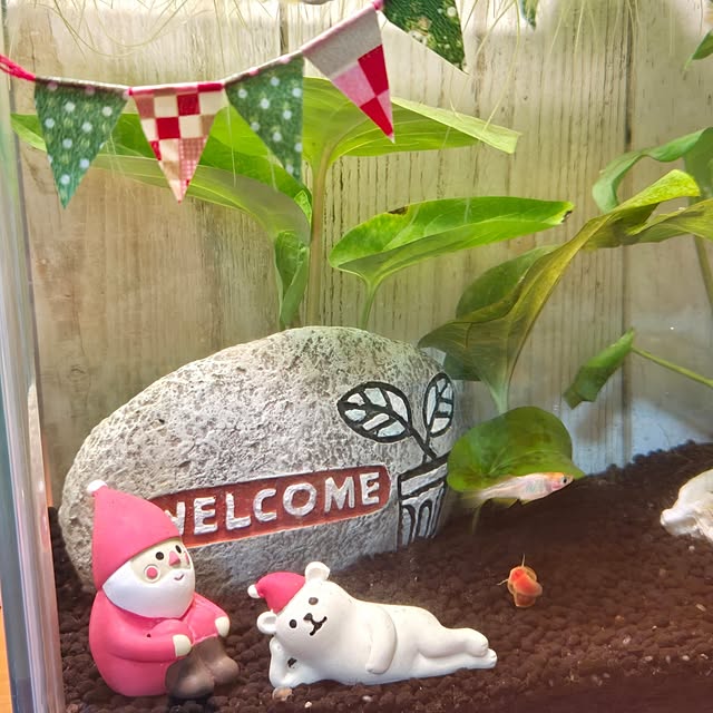 tamiさんの部屋