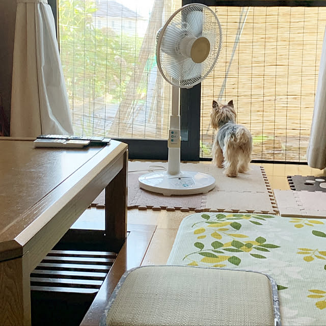 koumeさんの実例写真