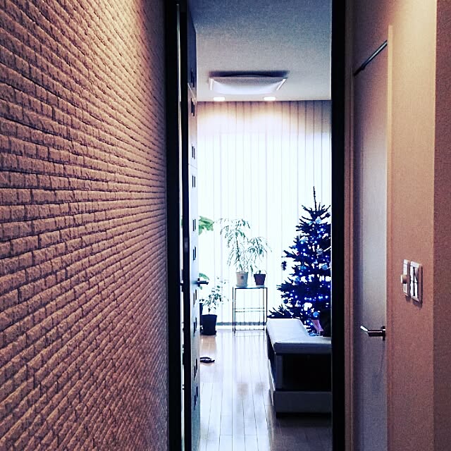 玄関/入り口/ニトリ/観葉植物のインテリア実例 - 2015-12-02 08:29:05