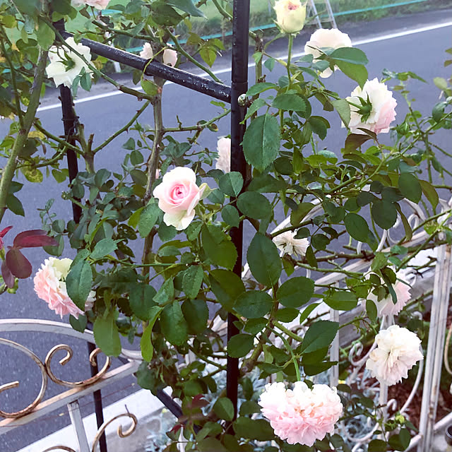 tomoさんの部屋