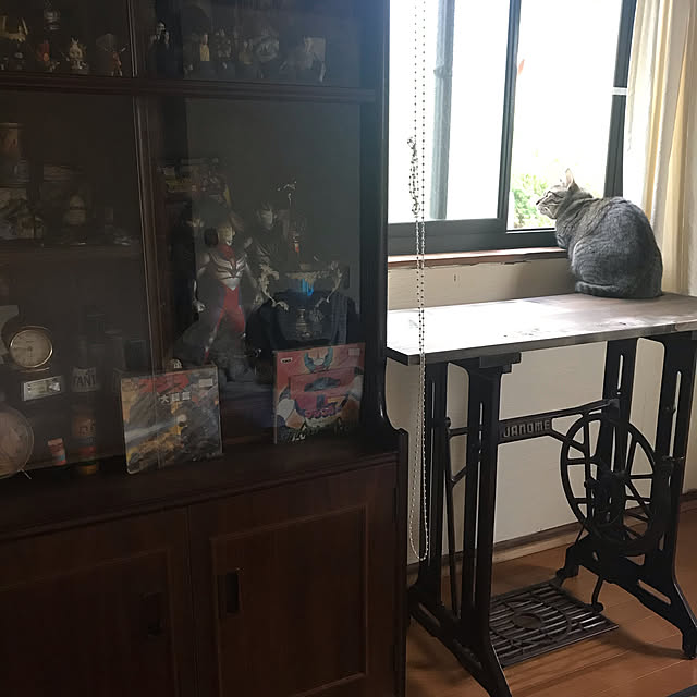 mikan161さんの実例写真