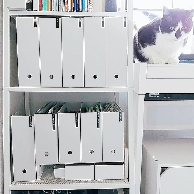 yuuさんの実例写真