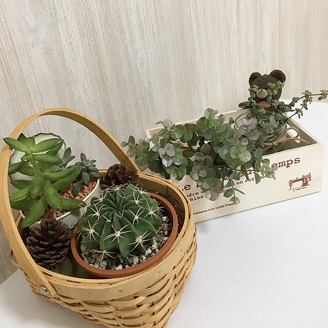 kiraraさんの実例写真