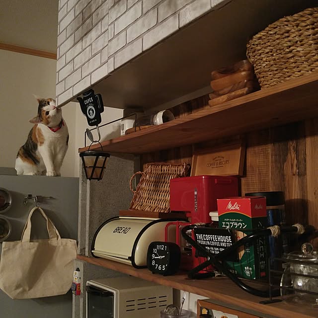 l..tomesanさんの実例写真