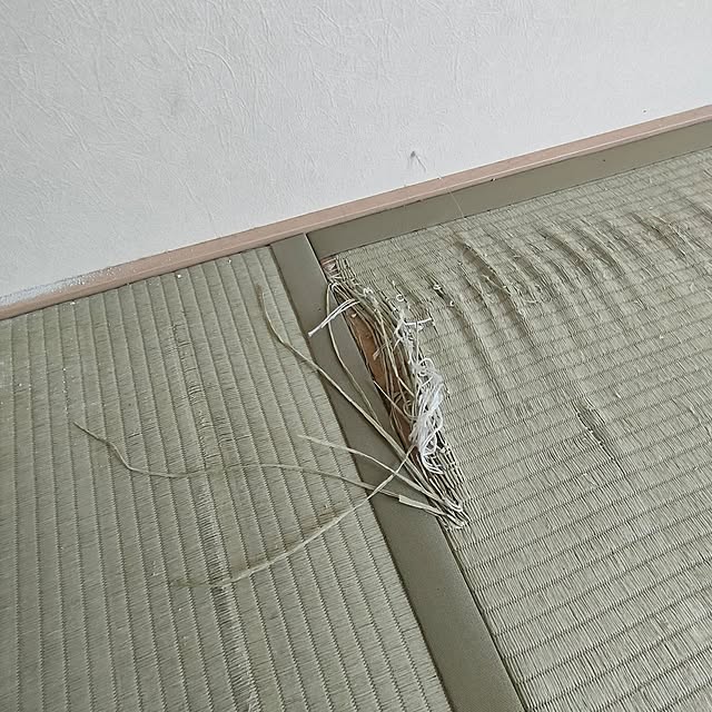 wata_ameさんの部屋