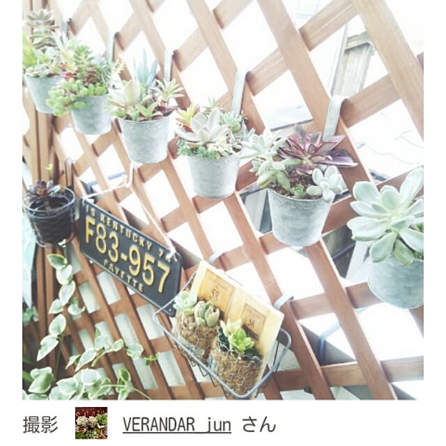 VERANDARJUNさんの実例写真