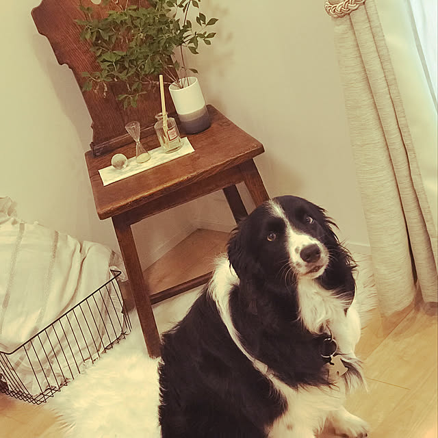 mikiさんの実例写真