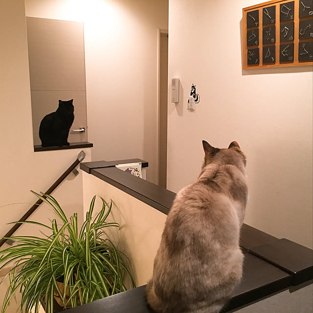 nanaさんの実例写真