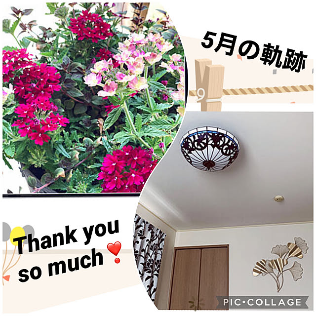 yukarin-gardenさんの実例写真