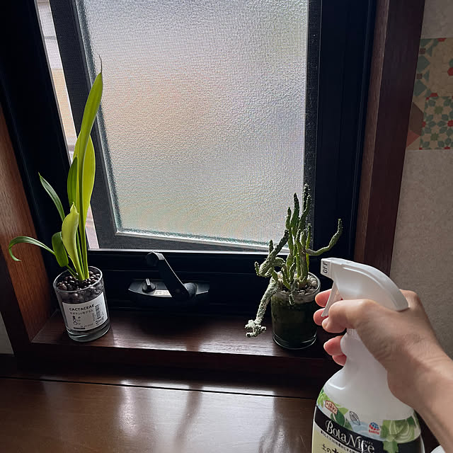 kikiさんの部屋